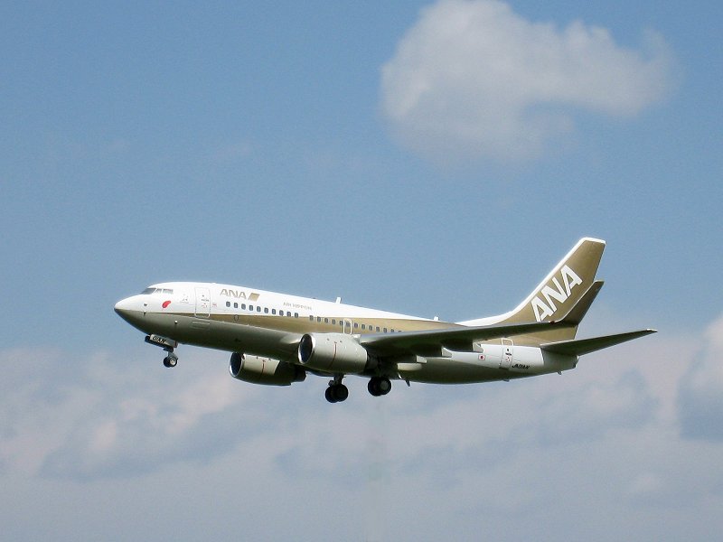 ANA B737-781