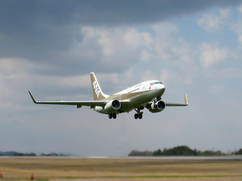 Boeing 737-700 ANA All Nippon Airways Limited Edition