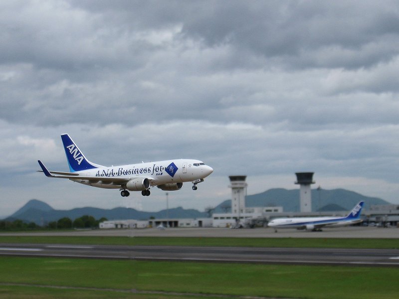 ANA 国旗カット Aviationtag B737-700 ANA 国旗カット Aviationtag B737-700